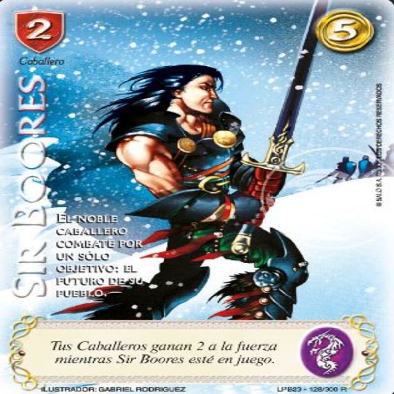 SIR BOORES